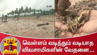 வெள்ளம் வடிந்தும் வடியாத விவசாயிகளின் வேதனை....| Cuddalore