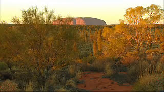 Touring Australia: the Red Centre