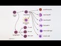 Immunology 101: The Basics and Introduction to our Patient Immunology 101: The Basics and Introduction to our Patient