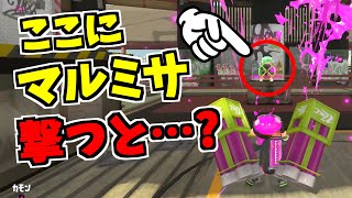 ここでマルミサを撃つと不思議なことが起こるらしい【スプラトゥーン2】 スプラ小ネタ