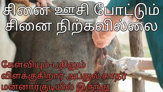 மாடு சினை பிடிக்க வேண்டுமா? இதைத் தெரிந்து கொள்ளுங்கள்|விவசாய ஆர்வலர்கள்|Rajesh