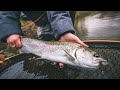 SHE DID IT! Spey Fishing for Spring Steelhead 2023