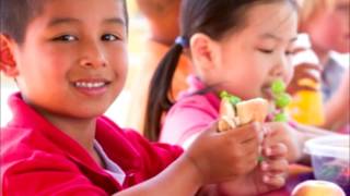 Como lucen los almuerzos escolares en diferentes paises