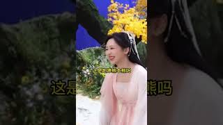 看演員成毅拍戲現場把楊紫逗笑場了啊啊