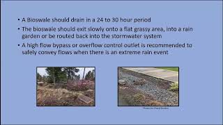 Using Rain Gardens and Bioswales to Harvest Water with OSU Master Gardeners 2024