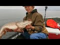 northern pike fishing saskatchewan canoe lake sk canada catching monster pike on the lake.