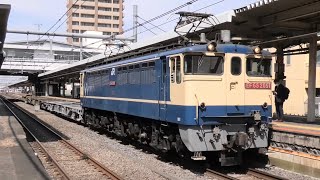 【大迫力】次々とやって来る機関車たち！ 大宮駅周辺にて 2023.3（EF210、EH500、EF65、AT入場送り込み、E235系新津新製配給 EF64-1031、EH200 ほか）