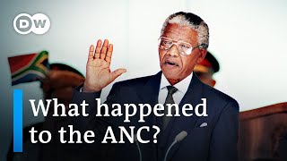 South Africa elections: Mandela's ANC expected to suffer historic setback | DW News