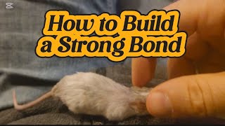 How Teaching My Timid Mouse How to SPIN Built a Strong Bond