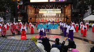 「RHK熱波」第23回東京よさこい　池袋西口公園会場　2022年10月9日（日）