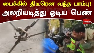 பைக்கில் திடீரென வந்த பாம்பு! அலறியடித்து ஓடிய பெண் | Bike | Snake | Sathiyam TV