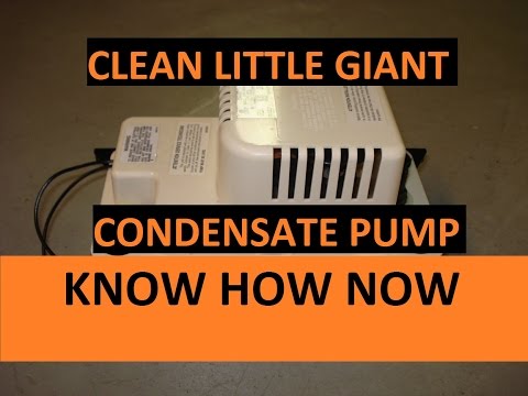 Clean a Little Giant Condensate Pump Clean a Little Giant Condensate Pump