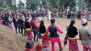 Limbu wedding chyabrung.(फेदाप, तेह्रथुम )