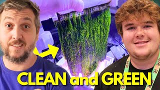 Algae Reactor VS Scrubber VS Refugium! Best Reef Tank Filtration!