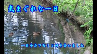 気まぐれな一日