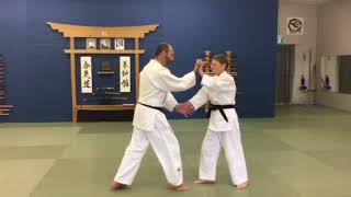 Aikido Network: Wonderous All Direction Pin Number 1