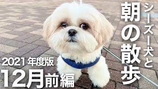 【シーズー犬/はに丸】まん丸お顔がかわいい愛犬と寒さもふきとばすお散歩！(2021年12月前編) / Shih Tzu takes a walk every morning in December.