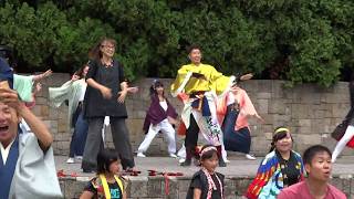 総踊り『シャケサンバ』／ザ・よさこい！大江戸ソーラン祭り2017