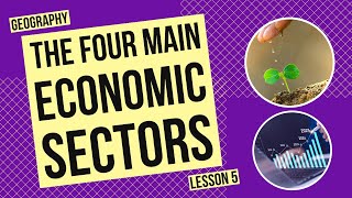 The Four Main Economic Sectors