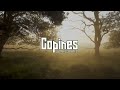 copines-af mellcy [remix 2023]