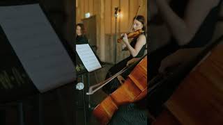 Reflection from Mulan | Harp Trio - Harp, Violin \u0026 Cello | Dolce Ensembles