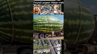 Found Largest Water melon#google #trending #googleearth #googlemaps #worldmap #viralshort #ytshorts