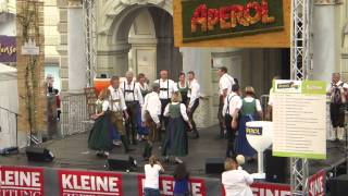 Waldhansl auf Hauptbühne, Aufsteirern 2011, Volkstanzkreis Laßnitzhöhe