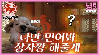 황금 개의 해 스킨!! 태풍이가 대리깡을 해준다고?? overwatch [이녕]