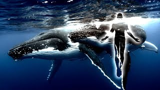 Whales and Dolphins Sounds with 528 Hz Higher Self and Heart Chakra, 432 Hz Meditation Music