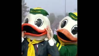 There Is Only One Lee Corso
