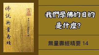 你理解佛的大慈大悲嗎？無量壽經精要14