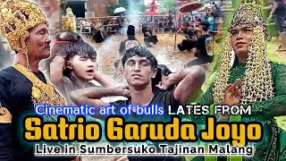 Cinematic art of bulls lates from SATRIO GARUDA JOYO live in  sumbersuko tajinan Malang, #bantengan