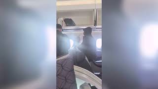 Passenger Shocked by Falcons on International Flight