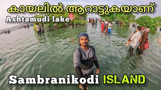 കായലിനു നടുവിലൂടെ നടക്കാം വെറും100 രൂപക്ക് 😍 Sambranikodi Island💚 Ashtamudi Lake  #blackquestvlogs