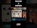 #falcon ✖︎ #amped1