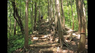 2020年6月21日 角田山 登山 福井ほたるの里コース～五りん石コース～山の神コース