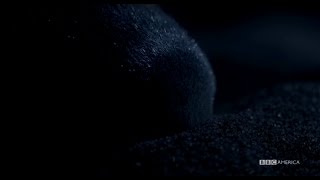 The Golden Mole: Completely Blind and No Bigger Than A Ping Pong Ball - Planet Earth II