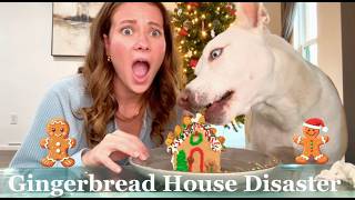 Letting my Dog Build a Gingerbread House Gone Wrong