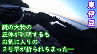 【東伊豆】正体不明の大物は思ってたよりも手に負えない奴【2024年10月中旬】