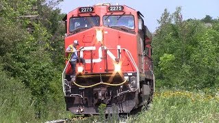 Flagging the Crossing! CN Train 407 at Moncton, NB