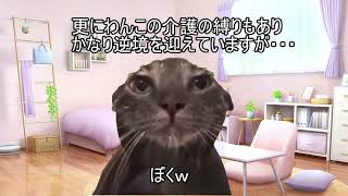 2025年は2024年を越えられるのか！【猫ミーム】