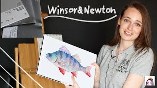 КАК ВЫБРАТЬ АКВАРЕЛЬНУЮ БУМАГУ?||  Акварельная бумага от Winsor&Newton серии  Professional и Classic