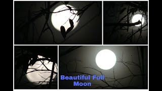 Beautiful Moon / அழகிய பெளர்ணமி நிலவு