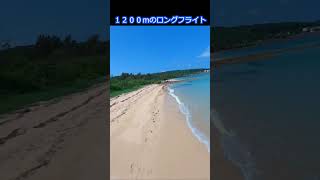 DJI FPV【公開中】透き通る青い海を飛び回る