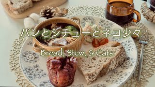 SUB/vlog【Bread, Stew, and Cats】NISOKUHOKOU／stew \u0026 soup for cold days／Great books I recently learned