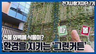 환경을 지키는 '그린커튼'을 아시나요? | 전기사랑기자단 7기