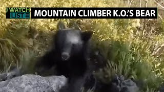 WATCH: Fearless Mountain Climber Absolutely MAULS Bear