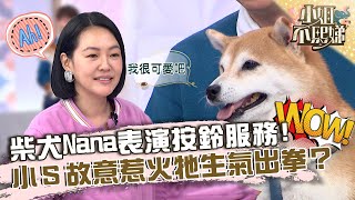 柴犬Nana表演按鈴服務！小Ｓ故意惹火牠生氣出拳？【#小姐不熙娣】20230302 EP251 Part2 李妍憬 Bibo