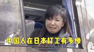 被骗去日本的中国人有多惨？日本人直接骂：滚回中国去！太可恶了