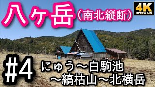 4K【八ヶ岳南北縦断】④ にゅう・白駒池・茶臼山・縞枯山・北横岳_2023/5